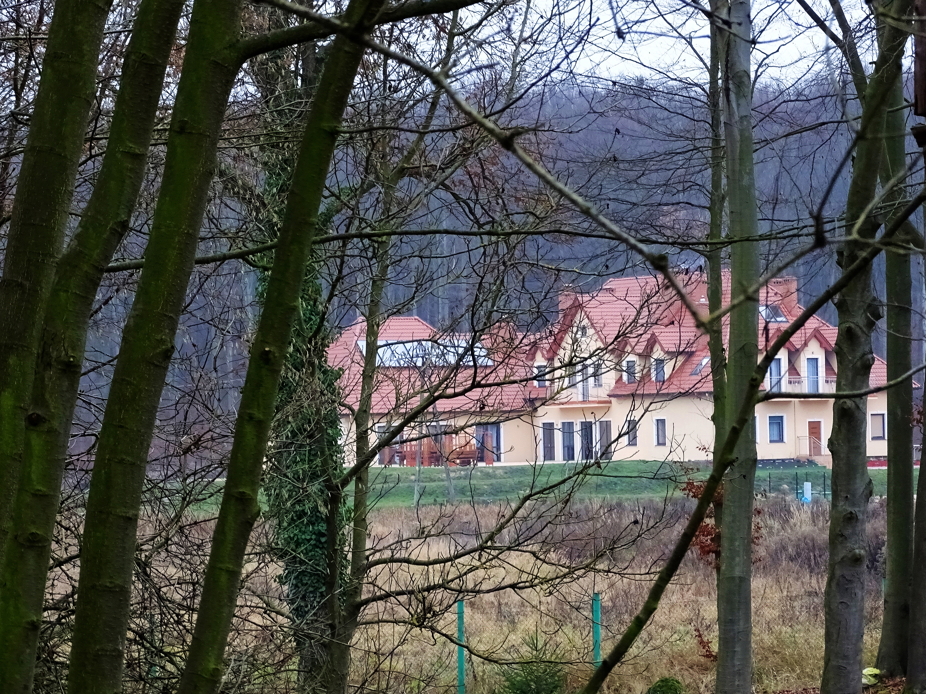 Widok z pobliskiego lasu na Bukową Przystań